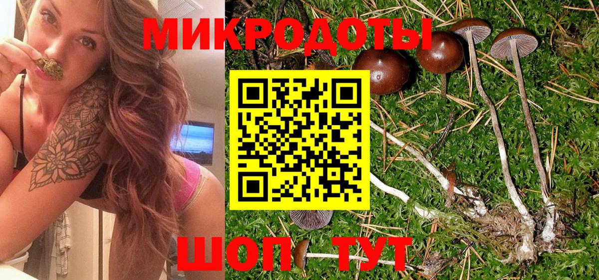 где можно купить наркотик  Галлюциногенные грибы Psilocybine cubensis  Вход с VPN  Вольск 