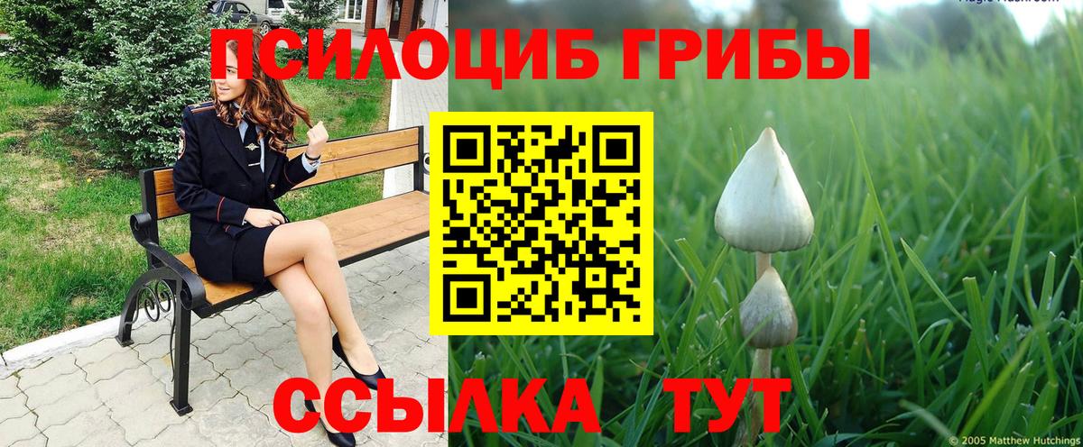 Галлюциногенные грибы MAGIC MUSHROOMS Вольск